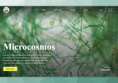 Screenshot of a website that teaches microbiology.